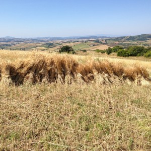La nostra storia al Tartuchino
