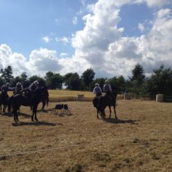 Toscana: i Butteri della Maremma