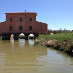 I musei della Maremma Toscana: oltre la bellezza da ammirare all’aperto