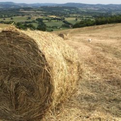 Casetta Tartuchino, vacanza in Toscana